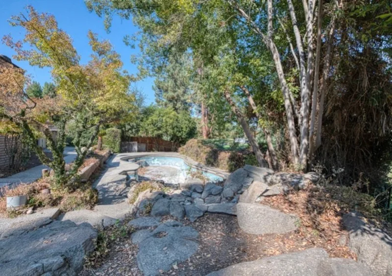 Backyard before, overgrown trees around an old pool